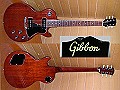 gibon_thm.jpg